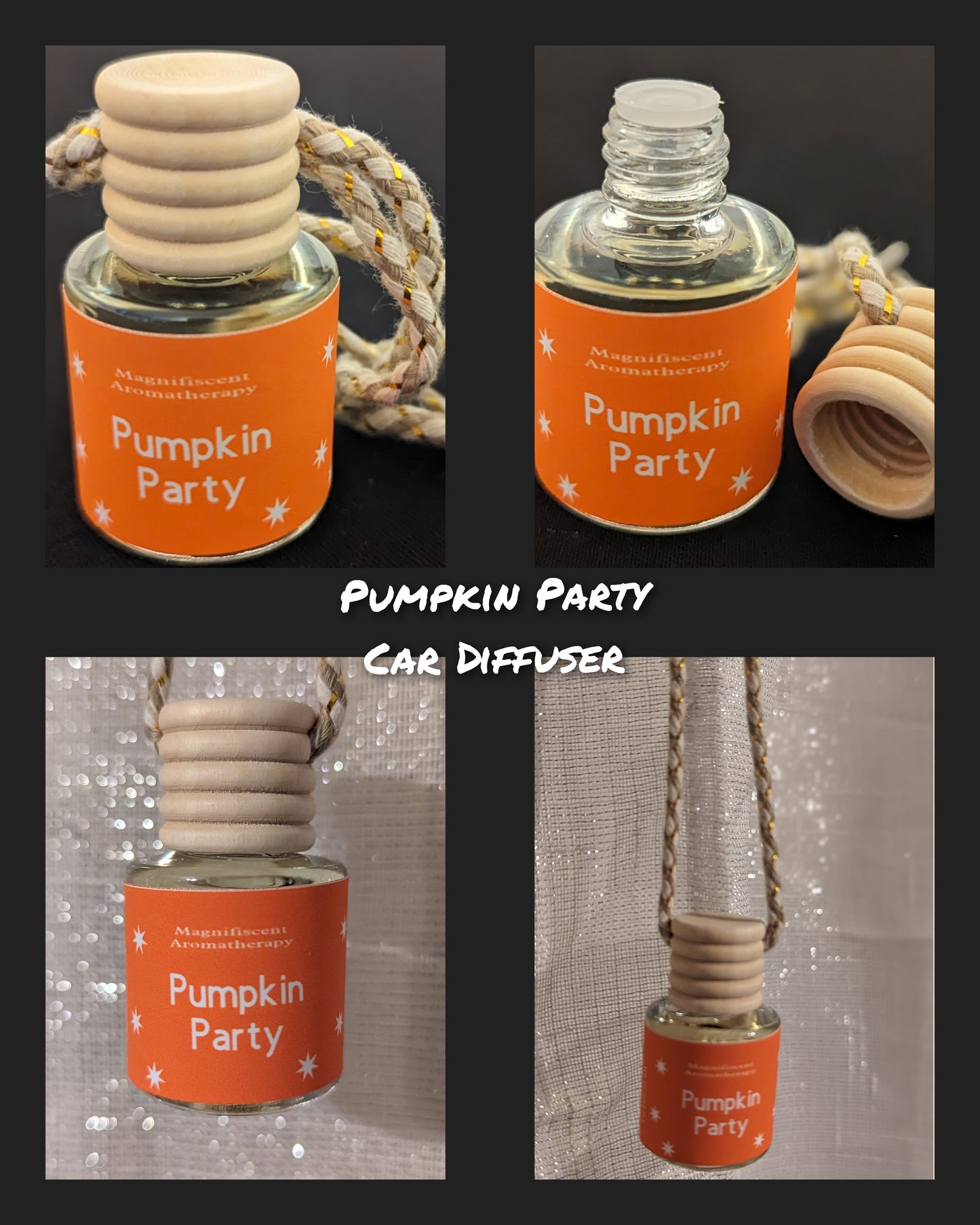 Pumpkin Party scented Car Diffuser