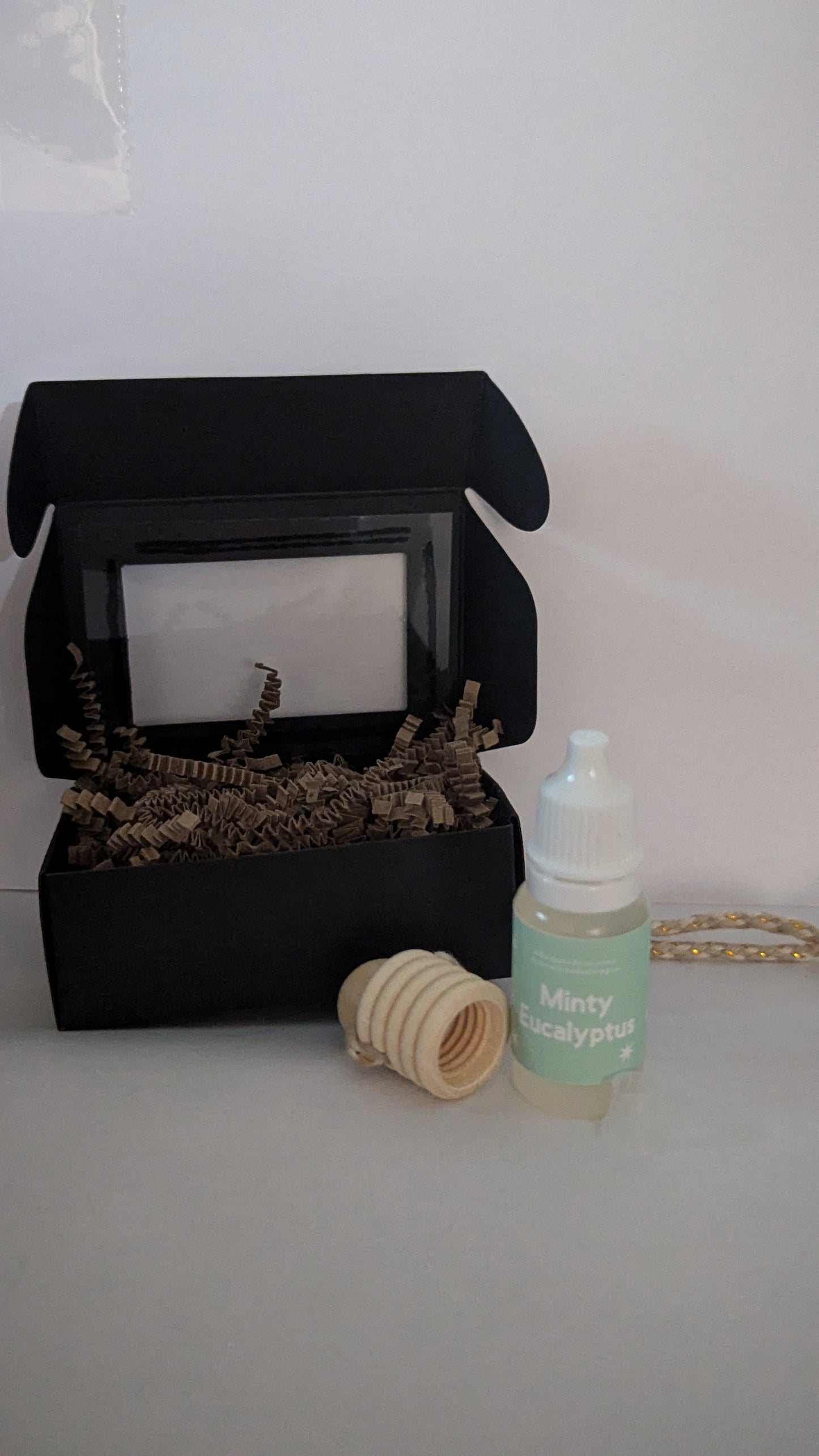 Minty Eucalyptus Car Diffuser Refill Kit
