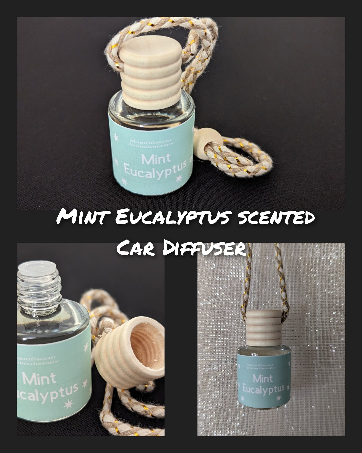 Mint Eucalyptus scented Car Diffuser
