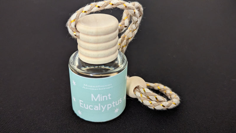 Mint Eucalyptus scented Car Diffuser