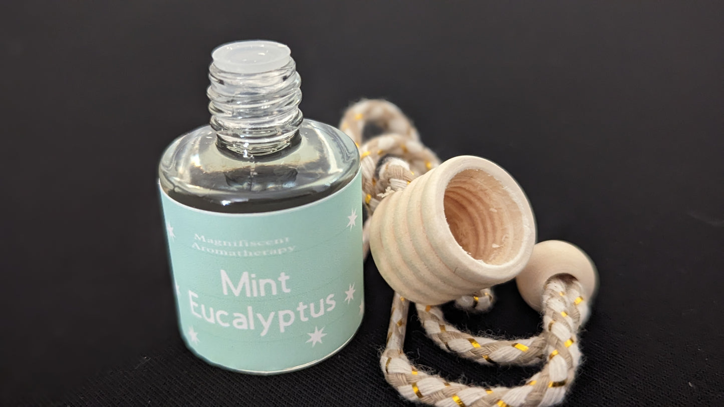 Mint Eucalyptus scented Car Diffuser