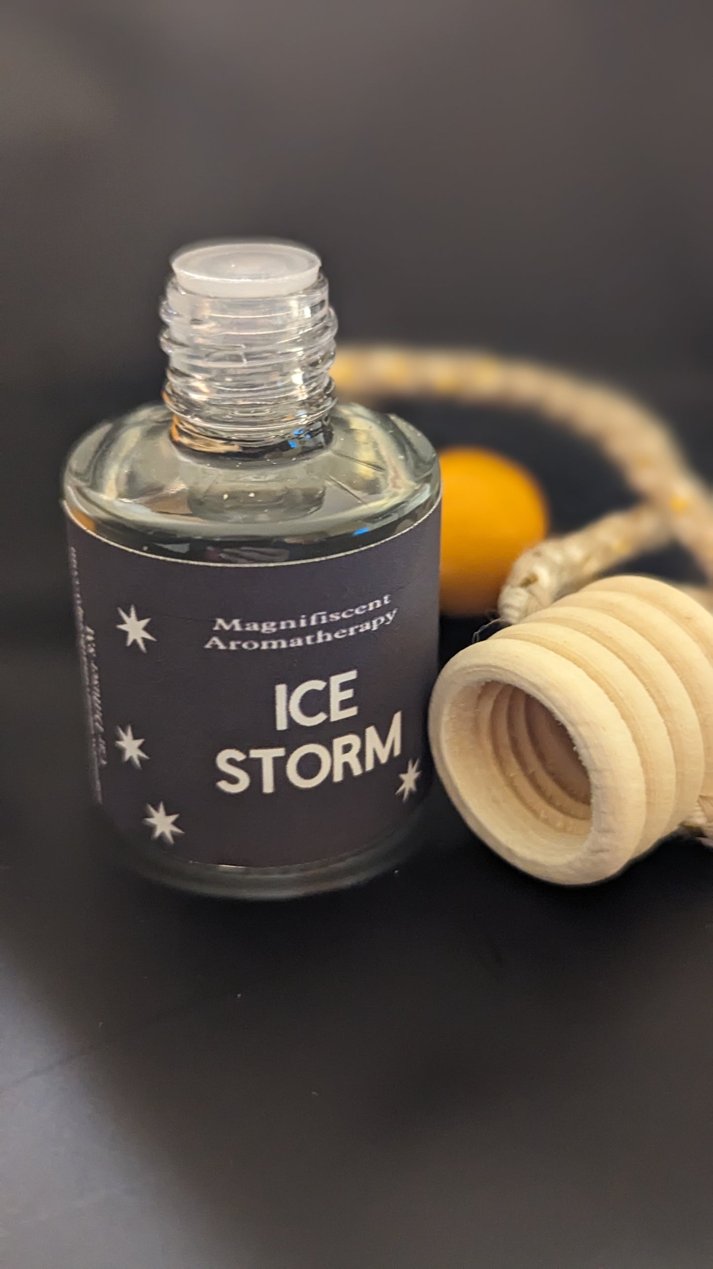 Ice Storm scented Car Diffuser