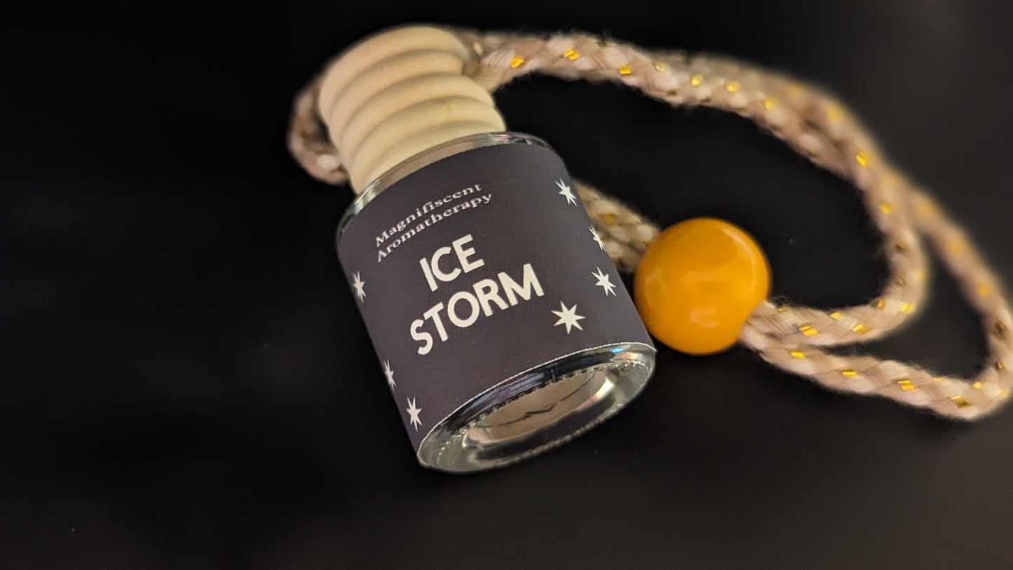 Ice Storm scented Car Diffuser