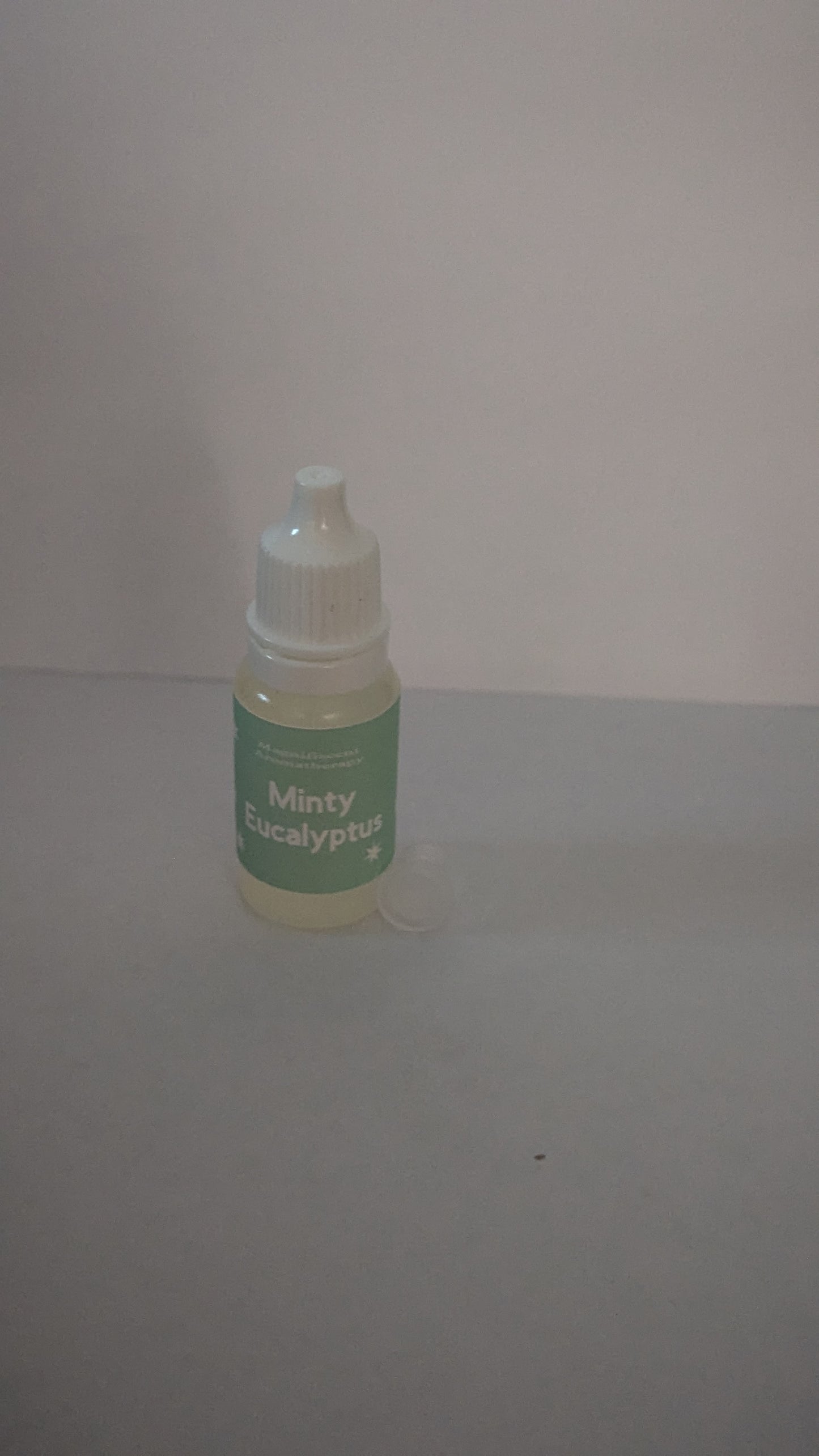 Minty Eucalyptus Car Diffuser Refill Kit