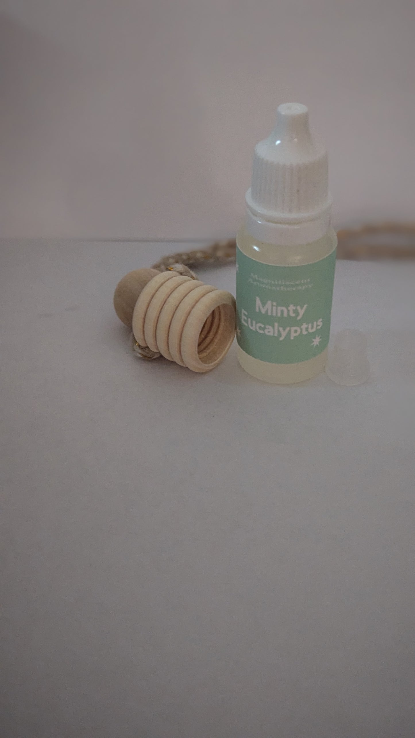 Minty Eucalyptus Car Diffuser Refill Kit