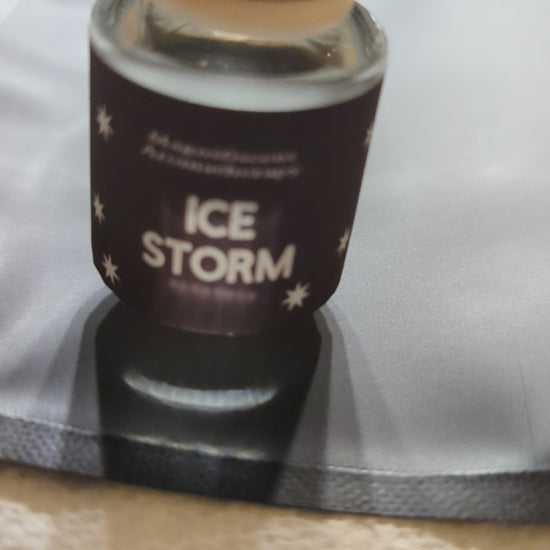 Ice Storm scented Car Diffuser 