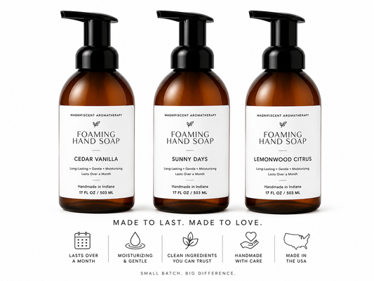 17oz Moisturizing Foaming Hand Soap | Plant-Based Care